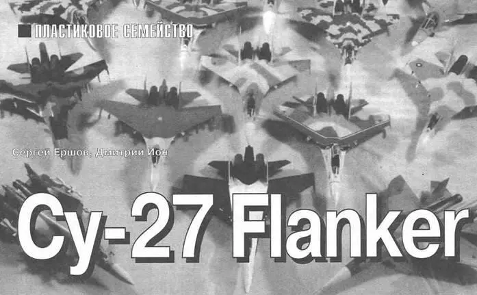 ПЛАСТИКОВОЕ СЕМЕЙСТВО Сергей Ершов Дмитрий Ион Су27 Flanker Сейчас - фото 103