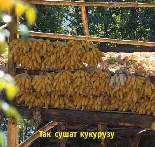 Оттуда до нижней автомобильной дороги чуть больше часа пути Тропа постепенно - фото 128