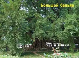 Там же на берегу реки можно покататься на длинном бамбуковом плоту но мы это - фото 136