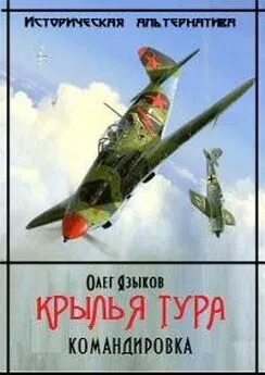 Олег Языков - Крылья Тура. Командировка [2 том полностью]