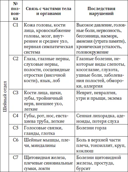 Латинскому обозначению букв соответствует С шейный отдел D г - фото 6