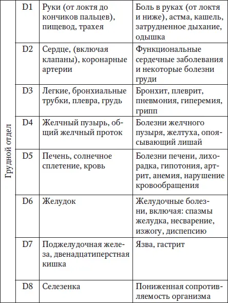 Латинскому обозначению букв соответствует С шейный отдел D грудной отдел - фото 7
