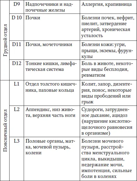 Латинскому обозначению букв соответствует С шейный отдел D грудной отдел - фото 8
