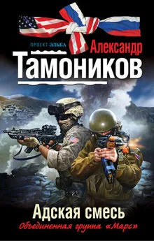 Александр Тамоников - Адская смесь