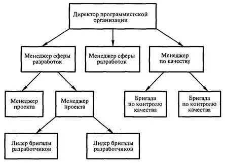 Рис 121 Структура управления разработкой программных средств Во главе - фото 102