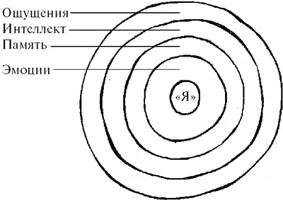 Рис 12 Человеческое существо словно жемчужина состоит из многих - фото 13