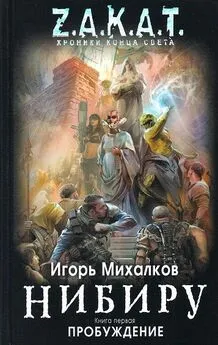 Игорь Михалков - Нибиру. Пробуждение