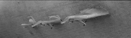 Узлы крепления фильтрогондол Ан 12РХ с помощью которых осуществлялся забор - фото 36