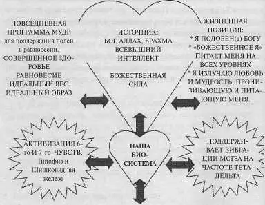 РЕЦЕПТ 2000 ВОСЬМИСТУПЕНЧАТАЯ ПРОГРАММА БЛАГОПРИЯТНОГО ОБРАЗА ЖИЗНИ ДЛЯ - фото 10