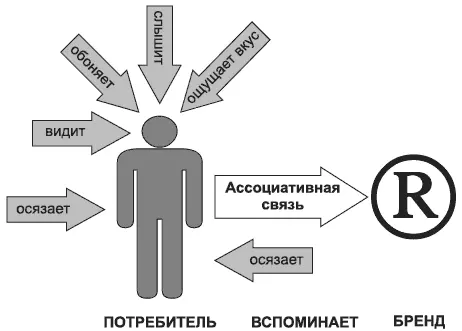 Рис 54Задача атрибутов бренда 535 Атрибуты бренда Частично мы уже - фото 25