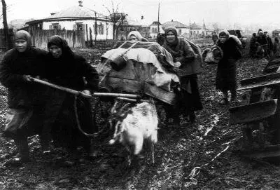 Война сорвала с места сотни тысяч людей превратив их в беженцев Остальные - фото 59