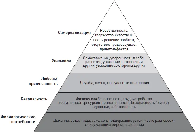 Основные потребности человека включают в себя пищу воду стабильность - фото 9