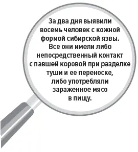 За два дня выявили восемь человек с кожной формой сибирской язвы Все они имели - фото 25