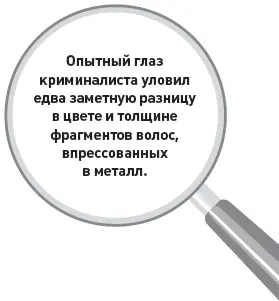 Опытный глаз криминалиста уловил едва заметную разницу в цвете и толщине - фото 27