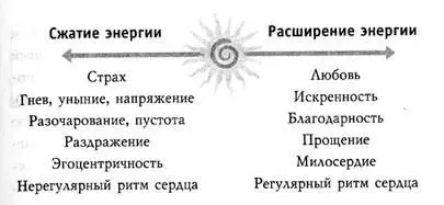 Ученые Института математики сердца открыли что когда люди сосредоточиваются - фото 13