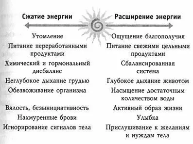 26 Четыре нейромедиатора счастья и ваш мозг из книги Джулии Росс - фото 16