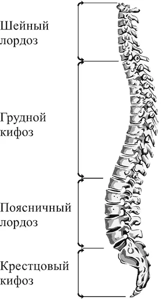 Рис 1 Все наверное не раз наблюдали с какой любовью мать берет на руки - фото 1