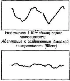 Рис VIII12 Эффект пространственной адаптации на вызванные потенциалы у - фото 103