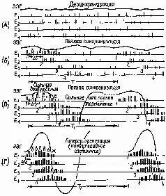 Рис 17 и 18 Отношения между синхронизацией волн ЭЗГ нейронными разрядами и - фото 7