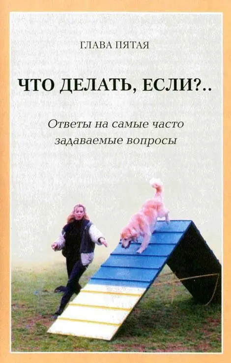 Помогите Я не знаю с чего начать Не начинайте с фиксирования какихто - фото 35