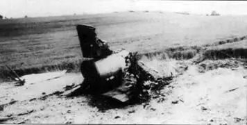 Бывало и такое Самолет после падения полностью разрушился обломки разлетелись - фото 38