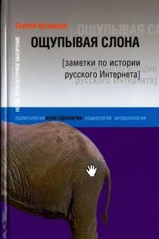 Сергей Кузнецов - Ощупывая слона. Заметки по истории русского Интернета