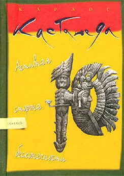 Карлос Кастанеда - Активная сторона бесконечности