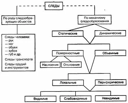 Рис 15 Классификация следов Следыотображения внешнего строения принято - фото 12