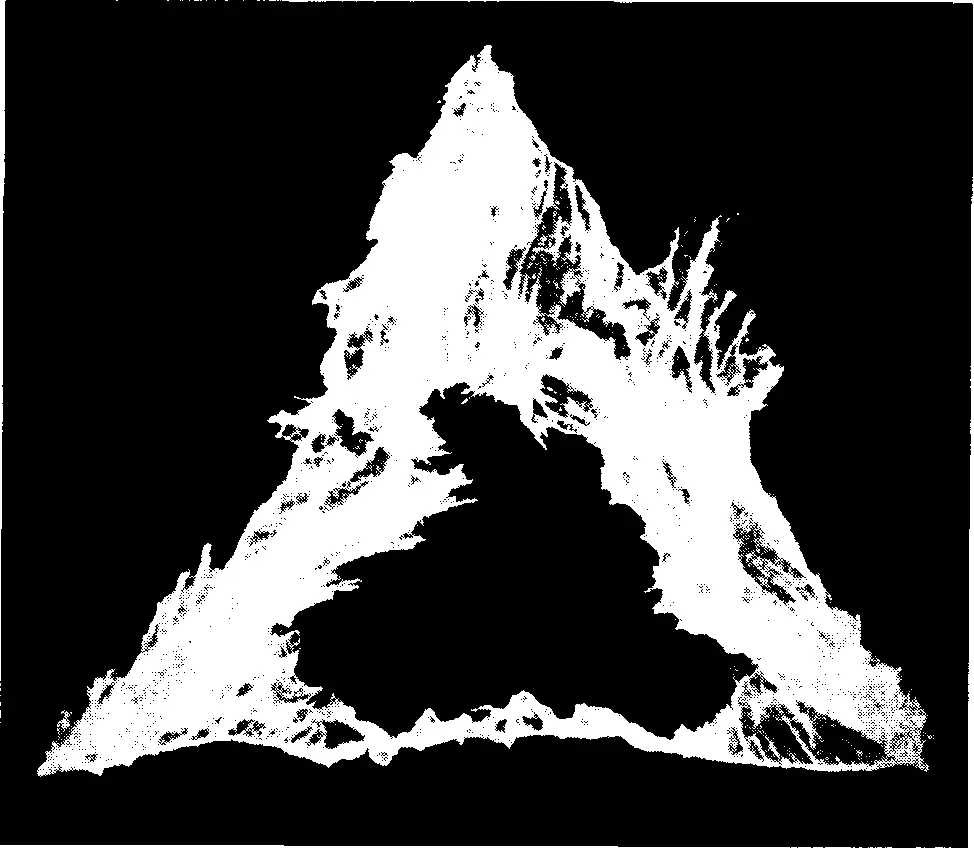 Илл 10 Фохат На этой иллюстрации показана манифестация фохатической энергии - фото 12