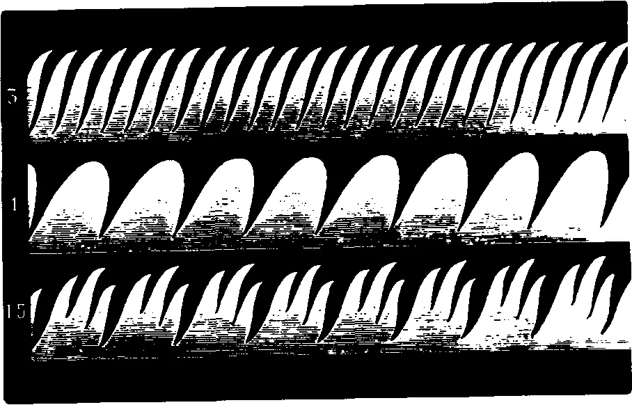 Илл 7 Образы пламени полученные при воздействии вибраций звука на огонь - фото 9