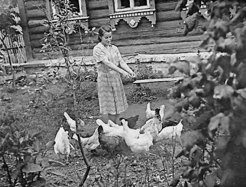17летняя Валентина Князева кормит домашнюю птицу 1951 г Фото из коллекции - фото 19