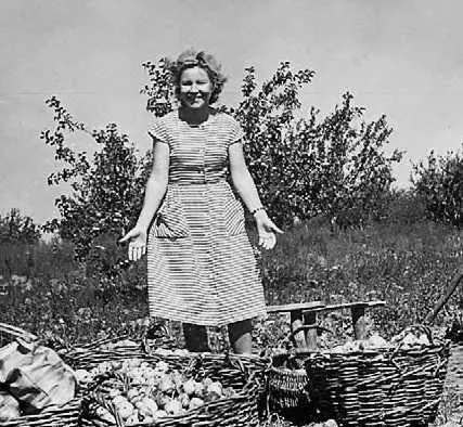 Алевтина Борисовна Птушкина с урожаем из приусадебного сада 1955 г Фото из - фото 21
