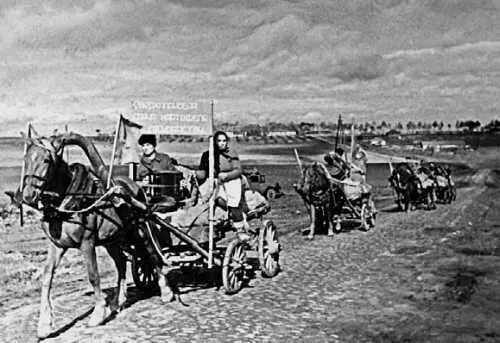 1943 г С большим напряжением давалась колхозникам сверхплановая сдача - фото 238