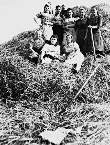 1944 г Сено женщины стоговали сами разве что с помощью подрастающих сыновей - фото 239