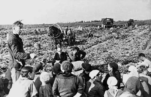 1946 г В поле на уборке картофеля в обеденный перерыв выступает бригадир ПА - фото 250