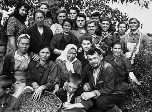 1946 г Колхоз был садоводческий и садовая бригада работала всегда Но на сбор - фото 253