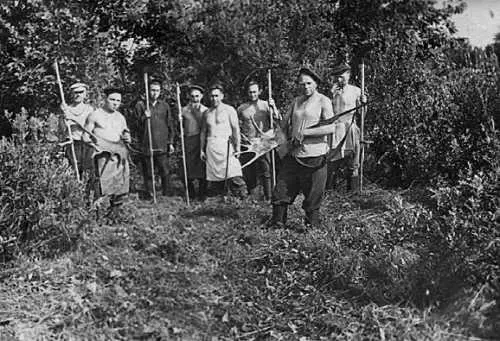 1948 г Зюзинские мужики на заготовке сена в Уваровском районе На переднем - фото 257