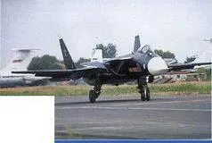 Су47 наряду с другими машинами марки Сухой участвовал в демонстрационных - фото 104