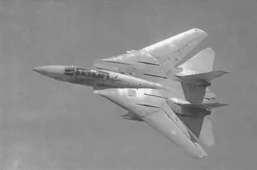 Было создано несколько модификаций Самолет F14A первая модификация - фото 461