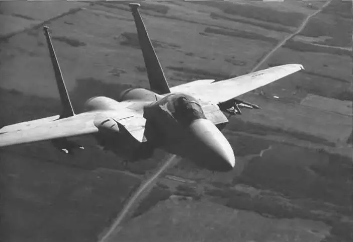 F15A построен по классической схеме с высокорасположенным трапециевидным - фото 539