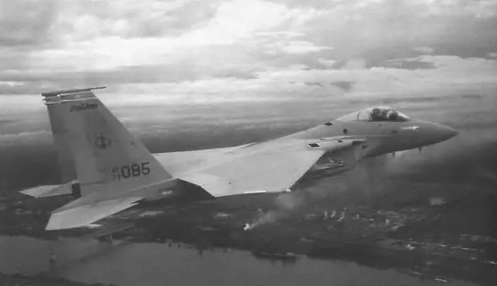F15A построен по классической схеме с высокорасположенным трапециевидным - фото 540