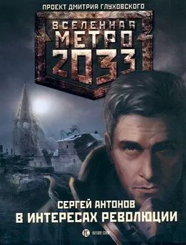 Сергей Антонов - Метро 2033. В интересах революции