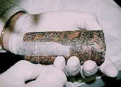 Рис 159 Данн измеряет риски на ядре N 7 в Музее Петри В 1983 году Дональд - фото 160