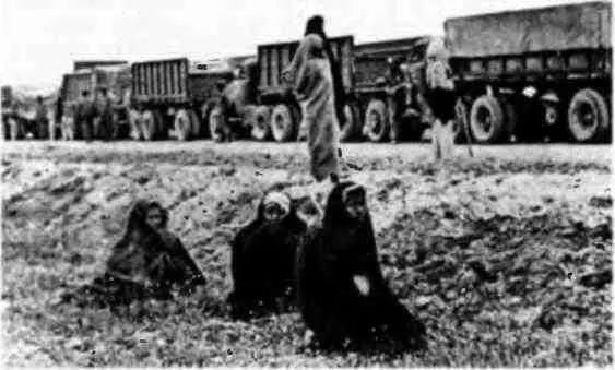 Колонна американских грузовиков с военными грузами для СССР в Иране После - фото 14