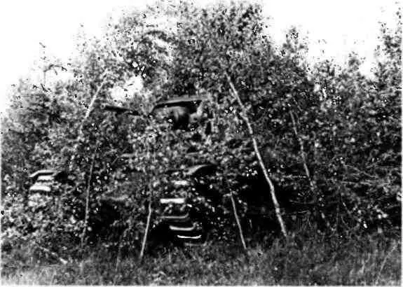 Матильда 196й танковой бригады в засаде Калининский фронт июнь 1942 года - фото 191