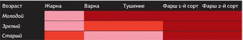 Первичное разделение туши и отделение курдюка Определите на туше где - фото 24
