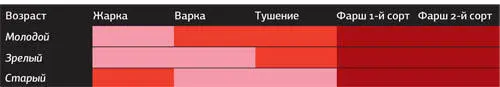Ну вот неподъемная баранья туша к которой мы и не знали как подступиться - фото 55