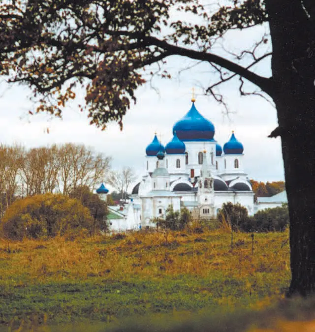 Алексей Паевский Фото автора Литература НН Воронин Зодчество - фото 21