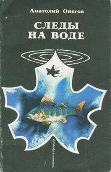 Анатолий Онегов - Следы на воде