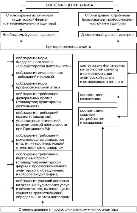 Схема 11 Система оценки качества аудита 12 Пользователи профессионального - фото 1